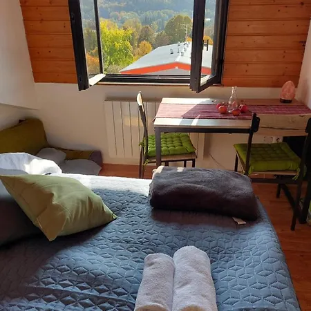 Apartment Mansarda Karlsbad